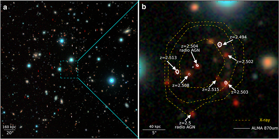 An optical image of the center of CL J1001