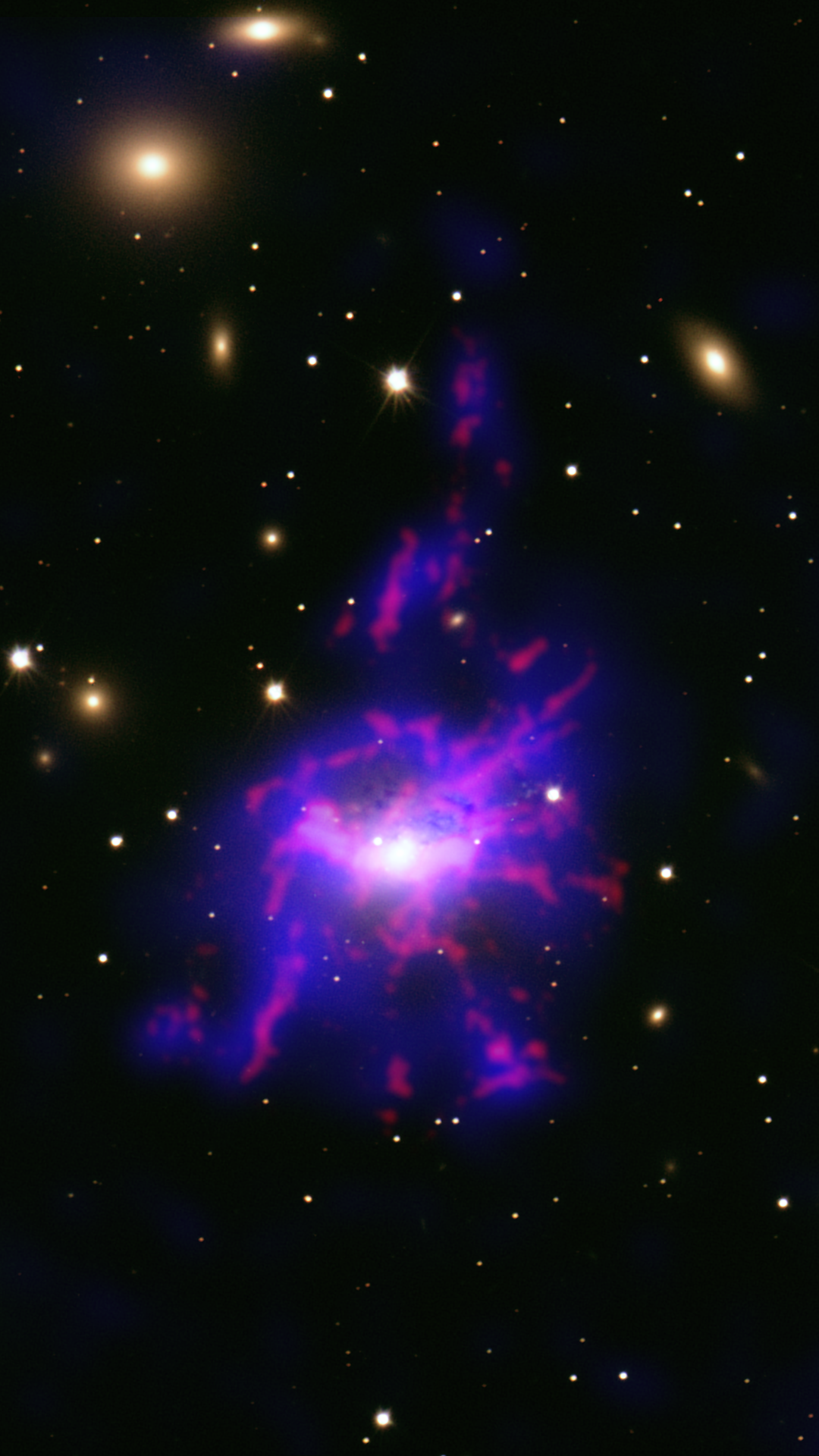 Perseus Cluster