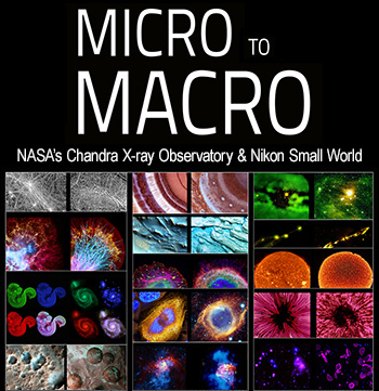 promo image for Micro to Macro feature
