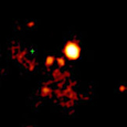 Photo of M82 Black Hole