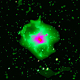 Photo of HCG 62
