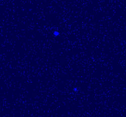 KS 1731-260