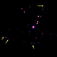 Orion Nebula Cluster