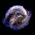 Photo of Kepler's Supernova Remnant