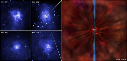 Spinning Black Holes Survey