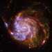 M101