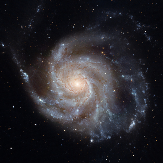 M101