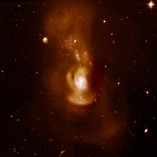 NGC 4194