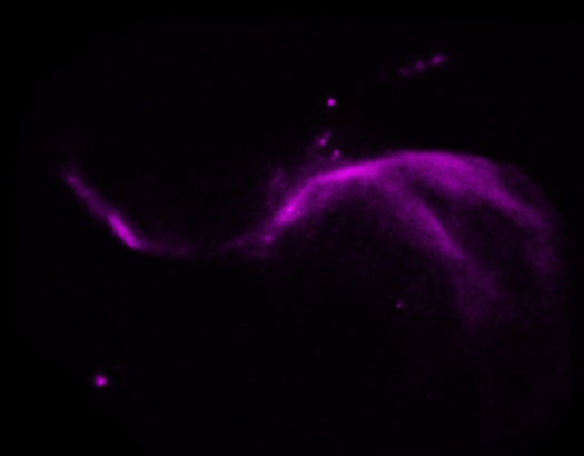 NGC 4258 (M106)