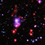 il Gioiello Cluster