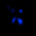 Click for large jpg