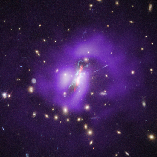 Image of Phoenix Cluster