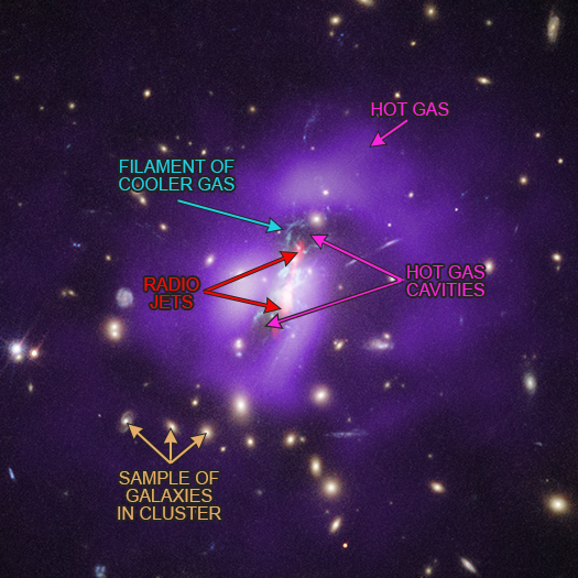 Labeled composite image