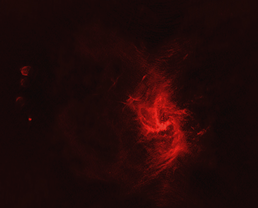 Sagittarius A East