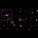 Spiderweb Galaxy Field