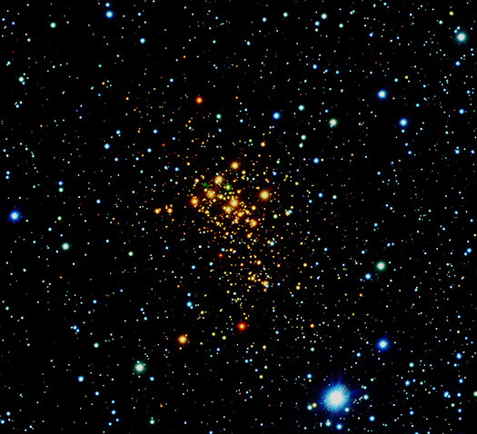 Westerlund 1