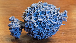 Click to enlarge image