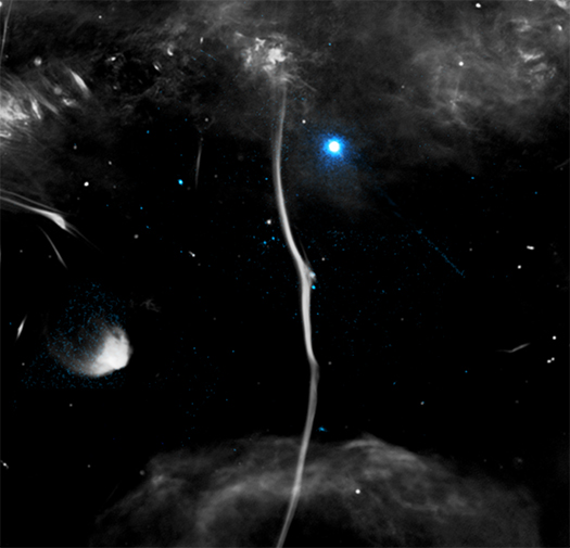 An image of the bone and the surrounding region without an inset close-up.