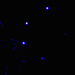 Click for large jpg