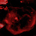 Click for large jpg