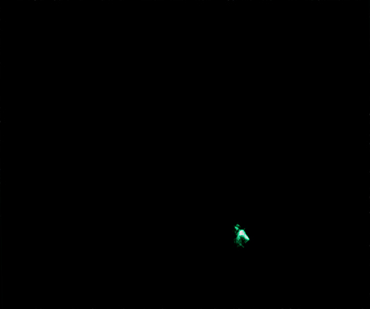 Lighthouse Pulsar (PSR J1101-6101)