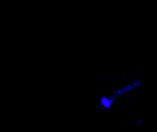 Lighthouse Pulsar (PSR J1101-6101)