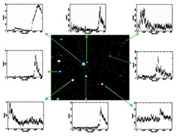 Protostars located in the rho-Ophiuchi molecular cloud