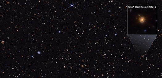 A rectangular image with thousands of galaxies of various shapes and colors on the black background of space. Some are noticeably spirals, either face-on or edge-on, while others are blobby ellipticals. Many are too small to discern any structure. One prominent foreground star at top center features Webb’s signature 8-point diffraction spikes. At upper right, a box shows a zoomed in portion of the image. The pullout features a spiral galaxy labeled “WISEA J123635.56+621424.2.” The galaxy has a bright yellow center and faint brown arms speckled with regions of blue that appear to wind clockwise around the galaxy’s core.