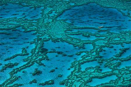 Image of the Great Barrier Reef