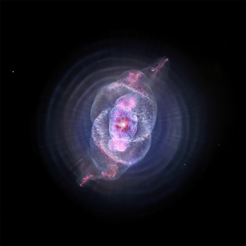 Image of a Cat's Eye